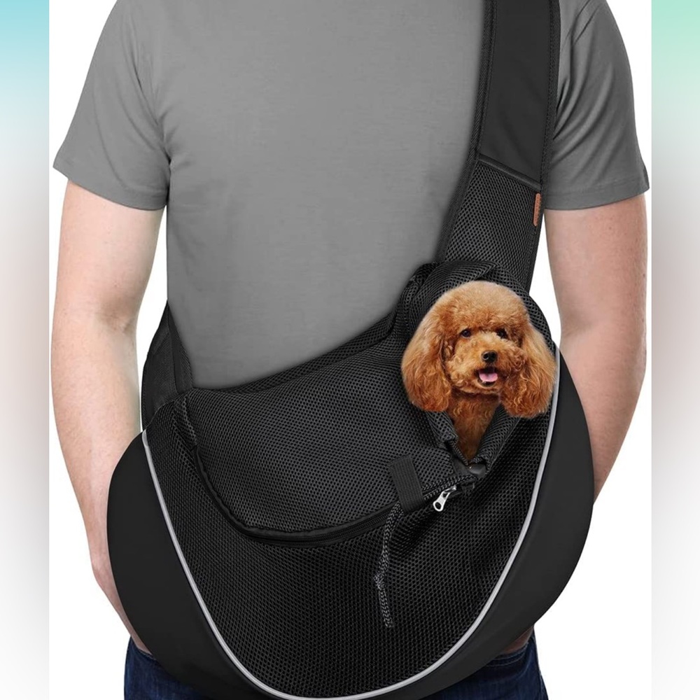 Pet small carrier